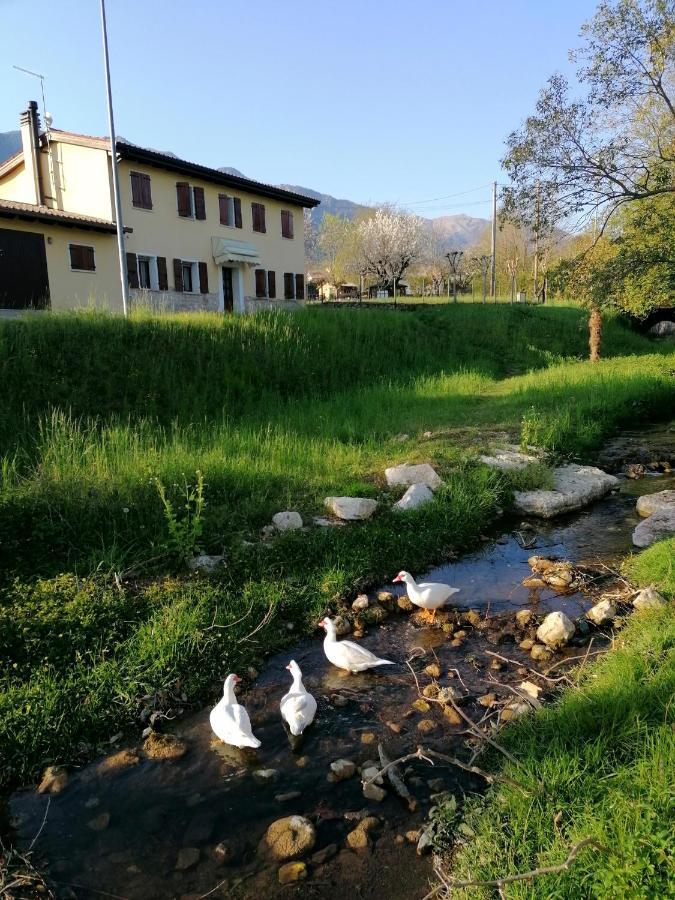 بورسو ديل جرابا Agriturismo Da Andreina المظهر الخارجي الصورة
