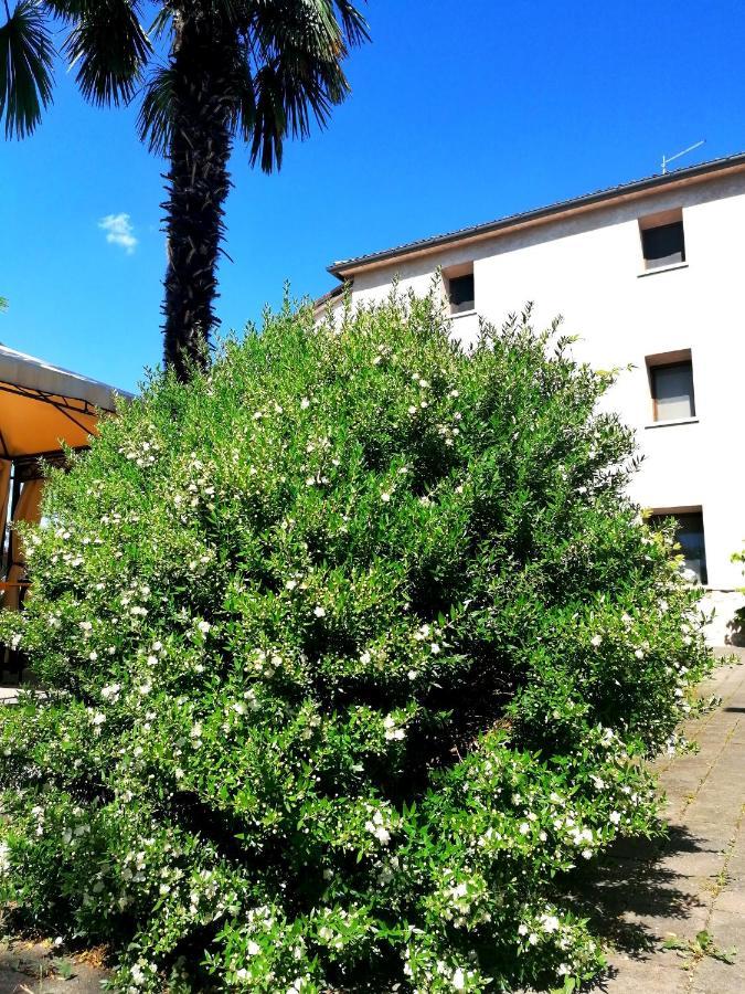 بورسو ديل جرابا Agriturismo Da Andreina المظهر الخارجي الصورة